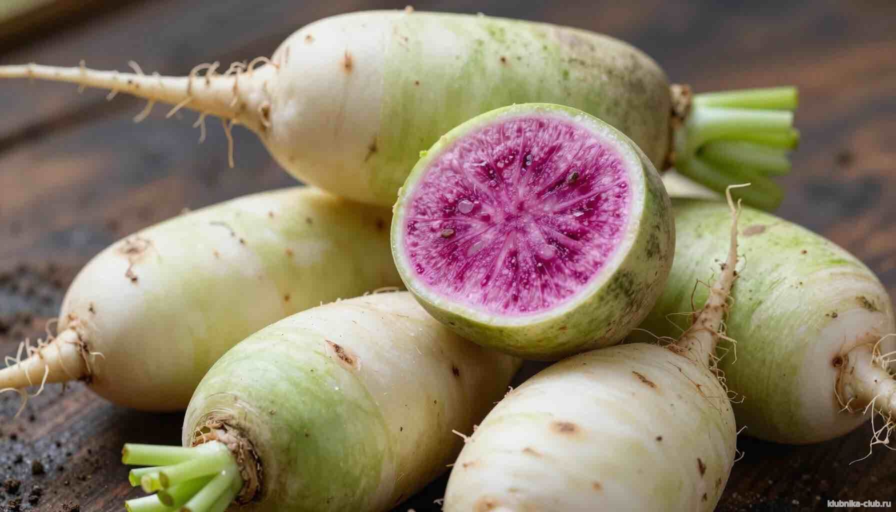 арбузная редька посадка и уход