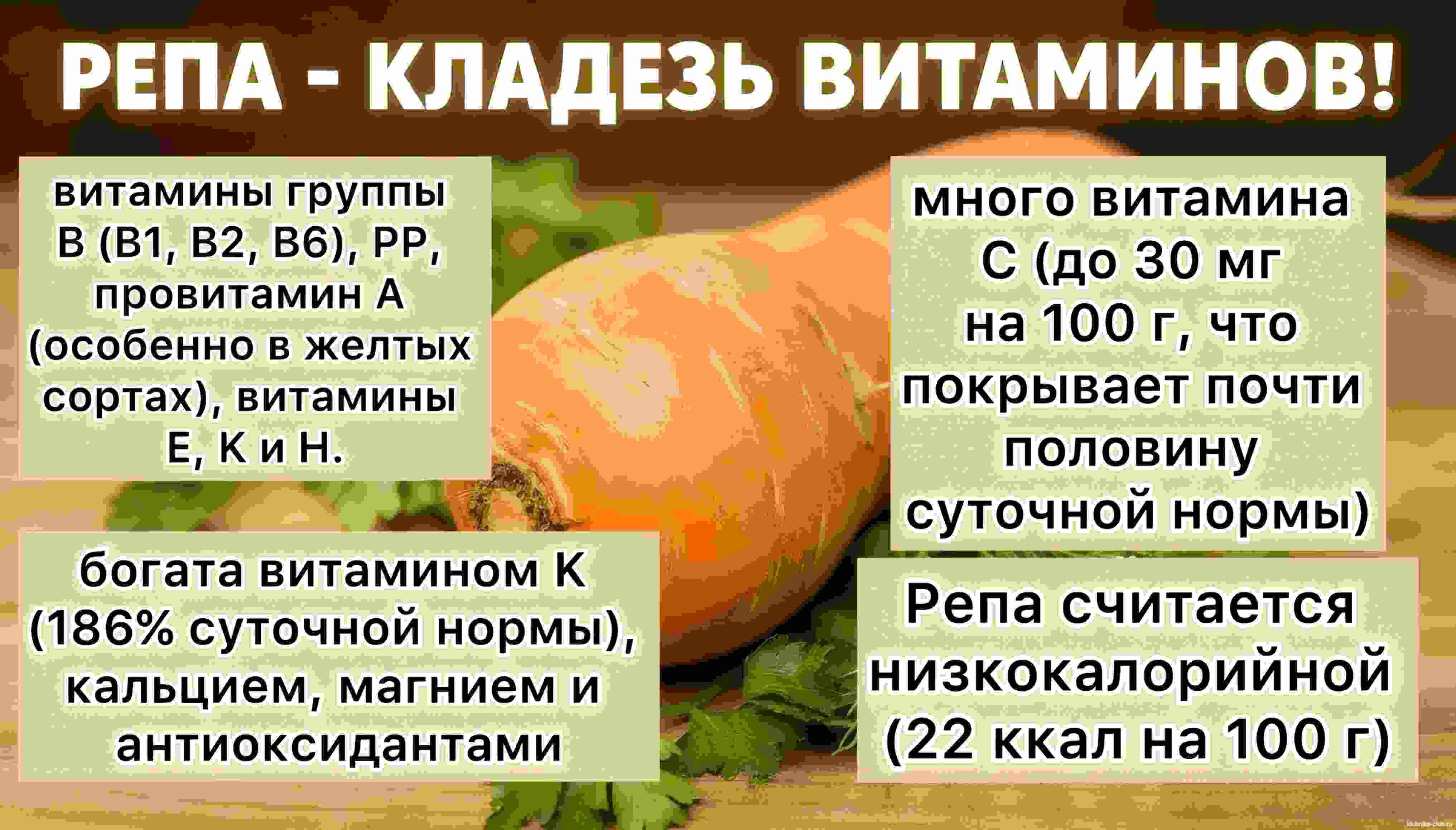 Репа польза для человека