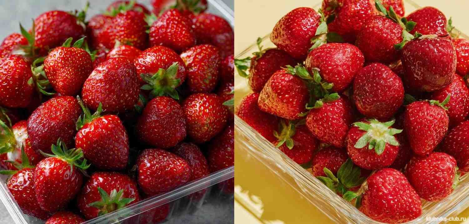 Чжан Цзи в контейнере