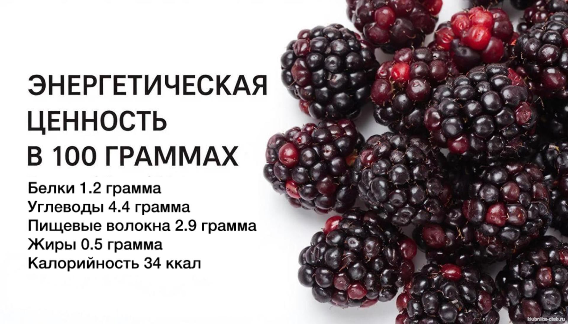 чем полезна ежевика для женщин